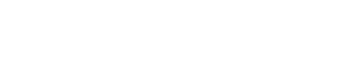 Steinberger Consulting